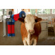 BROSSE A VACHE ELECTRIQUE HAPPYCOW Duo