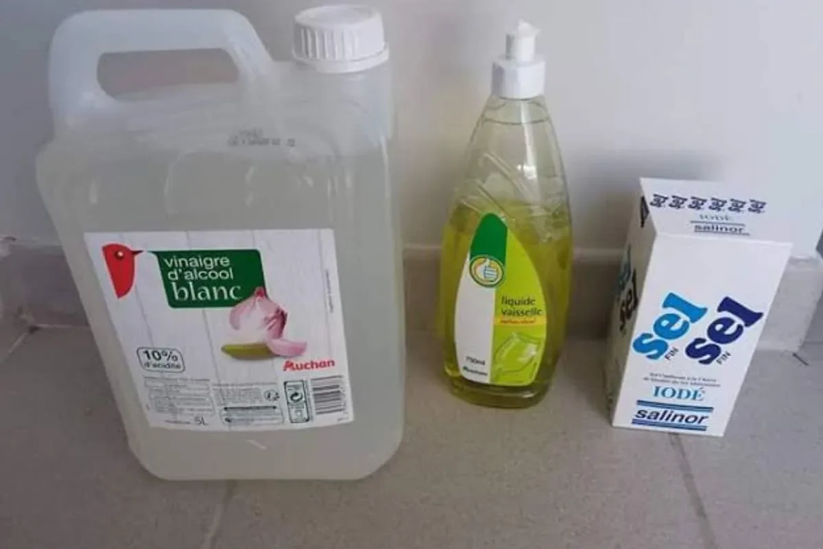 Désherbant naturel à base de vinaigre, sel et liquide vaisselle : astuce