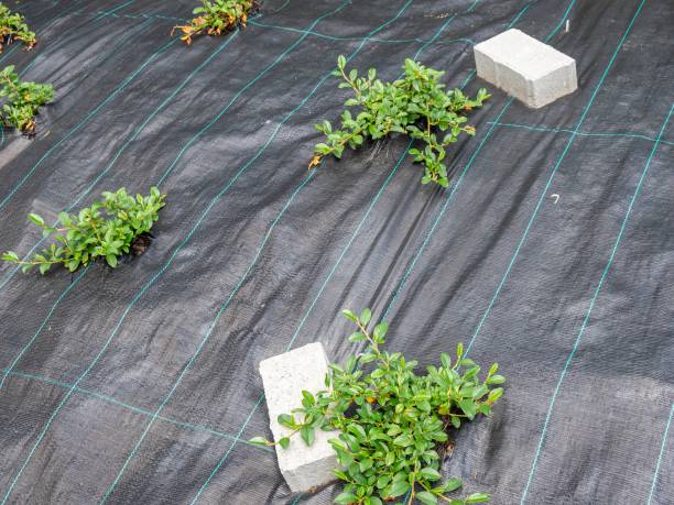 toile de paillage