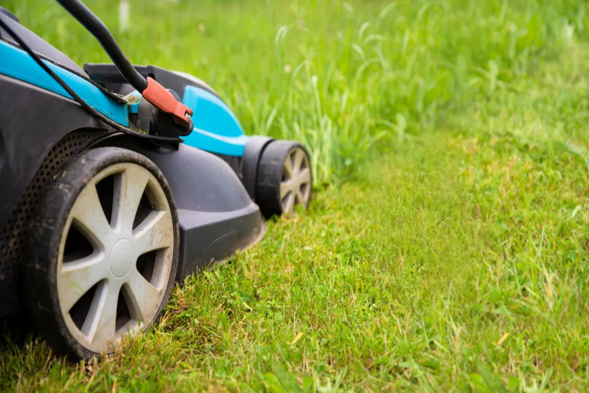 Quelles techniques connaître pour répondre aux attentes des jardins écologiques ?