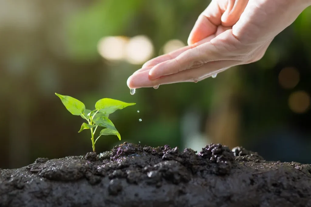 Quelles techniques connaître pour répondre aux attentes des jardins écologiques ?